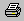 print icon